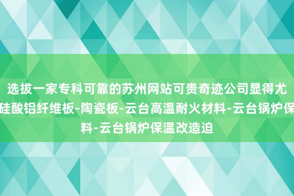 选拔一家专科可靠的苏州网站可贵奇迹公司显得尤为紧云台硅酸铝纤维板-陶瓷板-云台高温耐火材料-云台锅炉保温改造迫